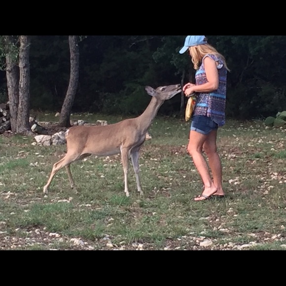 Meet your Posh Ambassador. - Picture 6 of 9